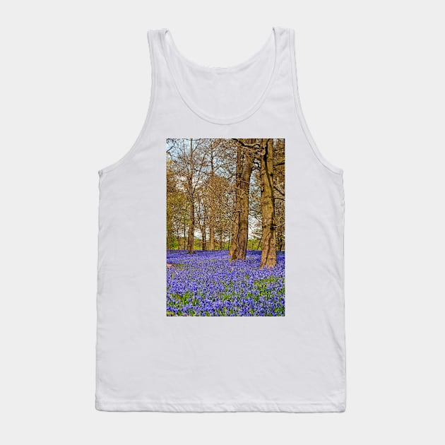 Bluebell Woods Greys Court Oxfordshire England Tank Top by AndyEvansPhotos